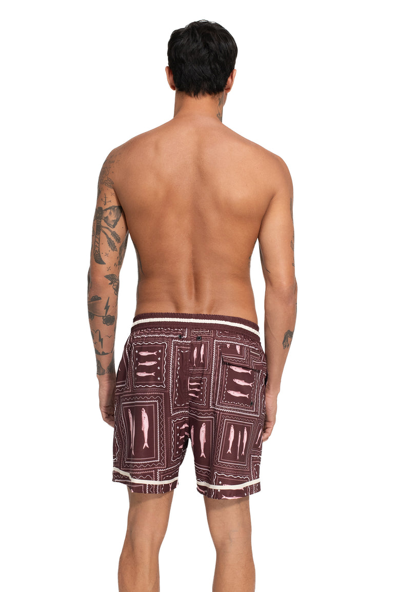 Pantaloneta de Hombre Joe - 3