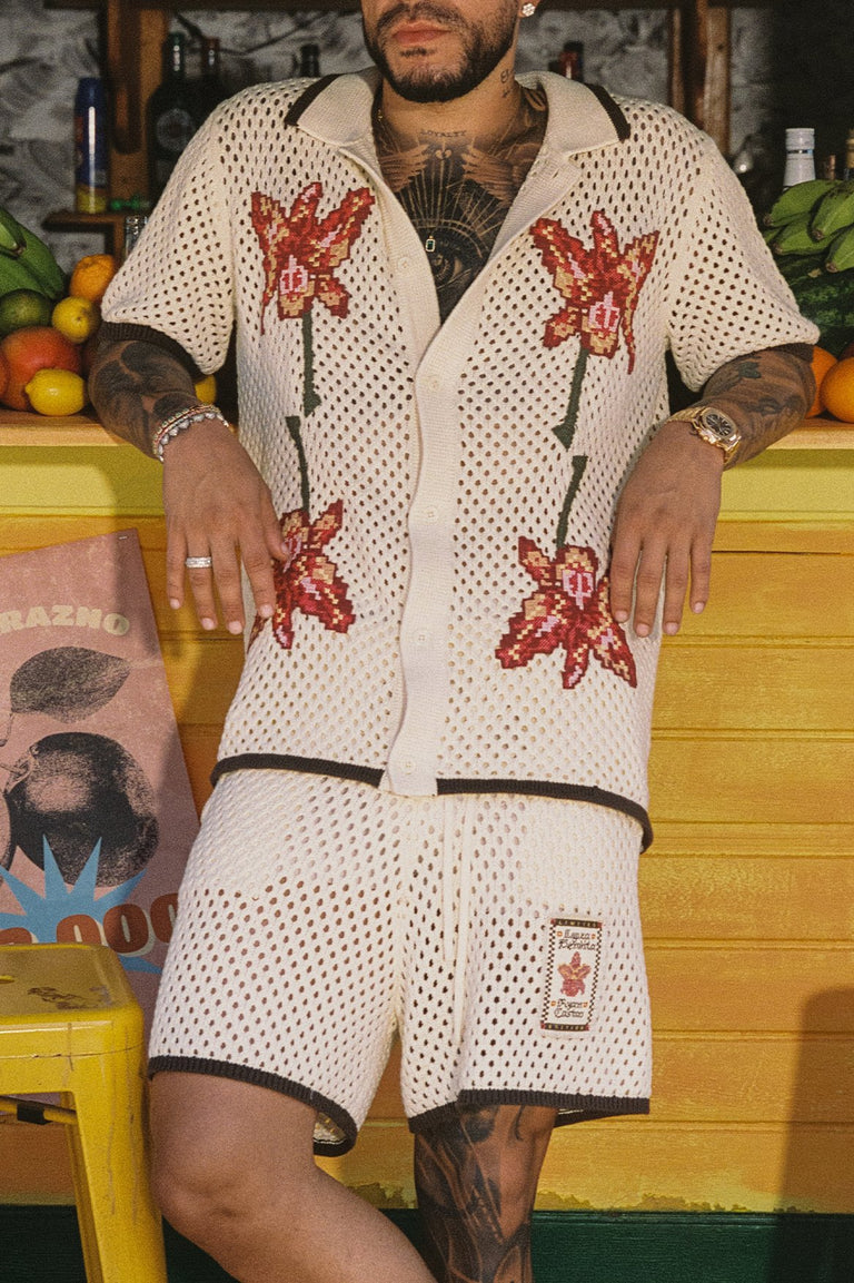 AWAA-Shorts-Cece-23753-HOVER.jpg - 2