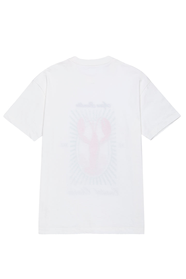 Alina-Camiseta-Jhoselyn-21734-5.jpg - 4