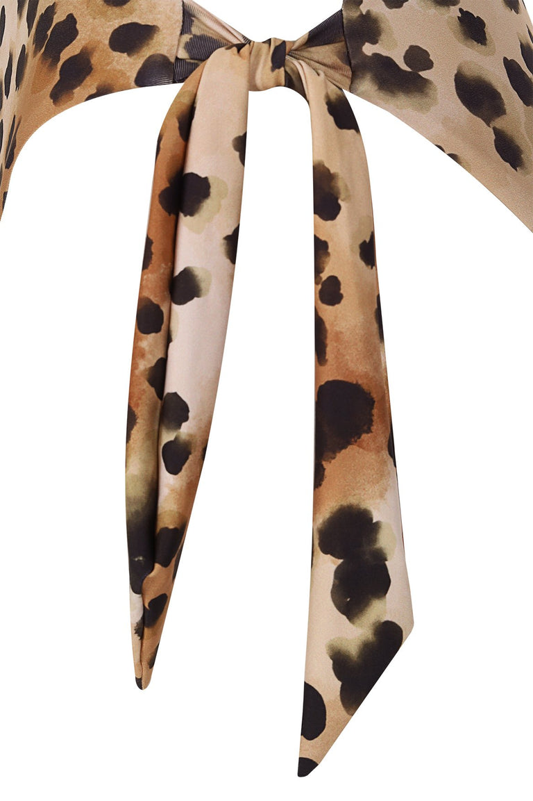 Felina-Vestido-de-Bano-Entero-Bettin-22824-7.jpg - 7