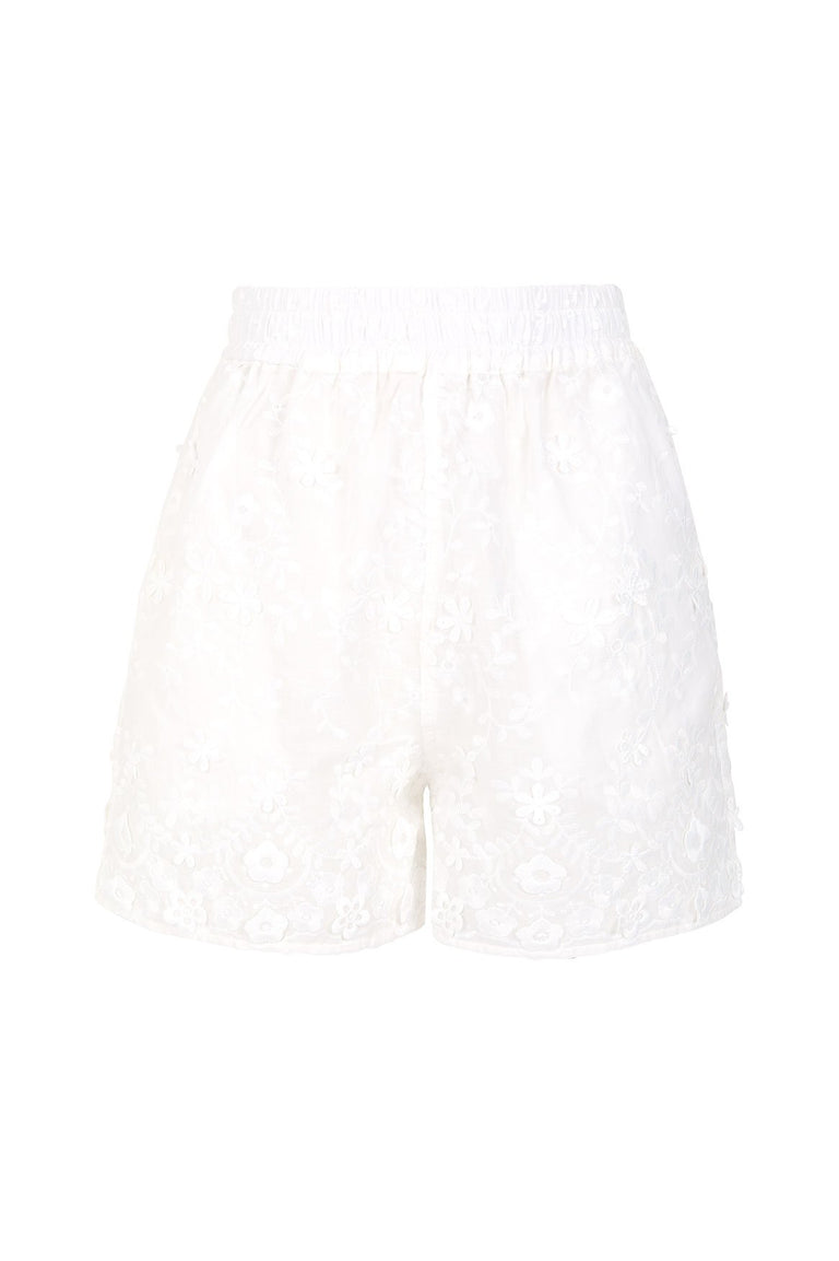 JanuarySale-Shorts-Matts-22669-3-Similar.jpg - 2