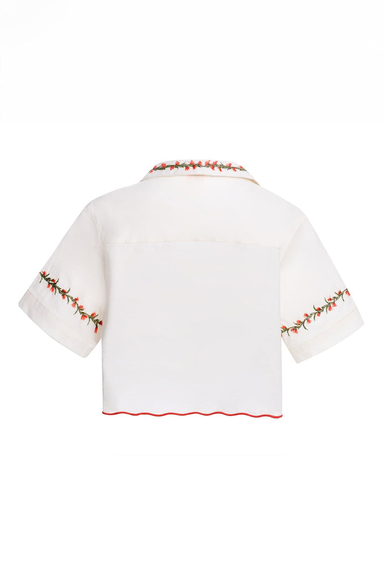 Nacar-Camisa-Itsy-17871-5 - 5